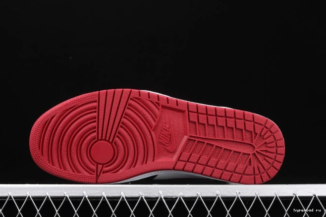 OG Air Bloodline 555088-062 High Jordan 1 1103